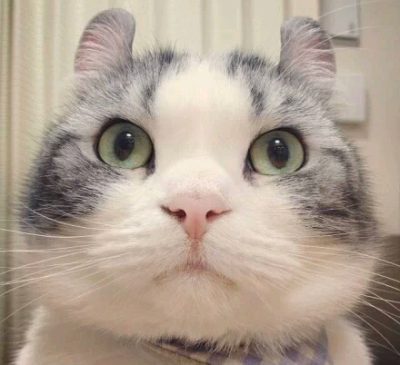 今天感觉自己萌萌哒...