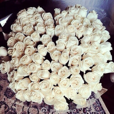 White Rose