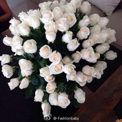 White Rose