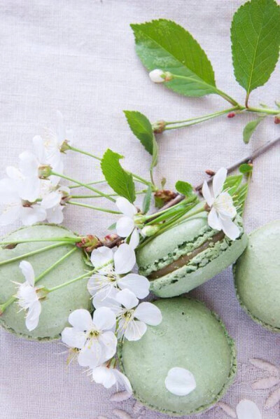 马卡龙 Macarons 甜点