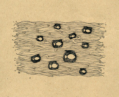 #MrSithZam#来自越南的插画师，画风很独特