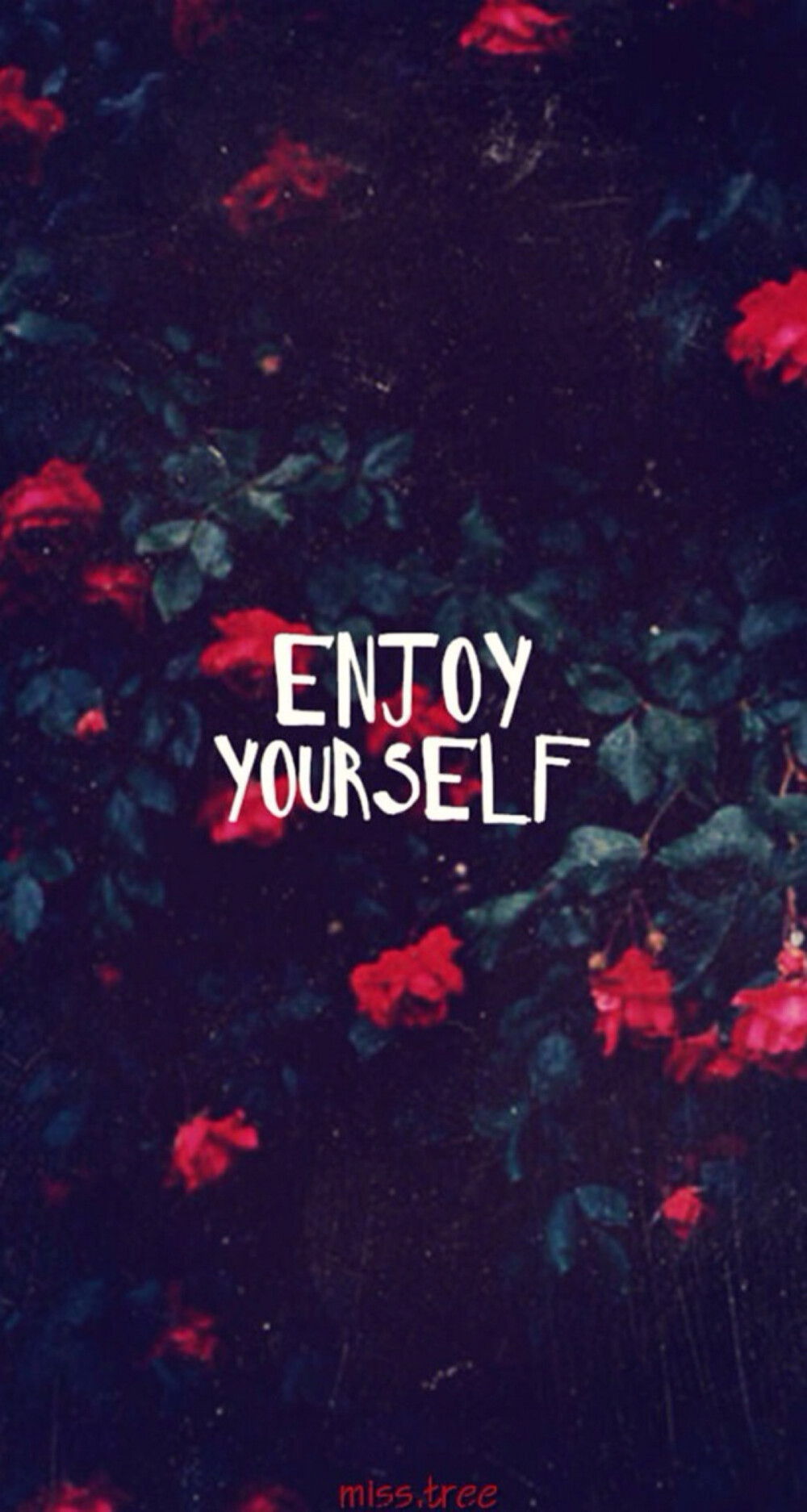 Enjoy yourself