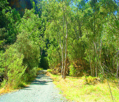 澳大利亚黑山保护区公园。
