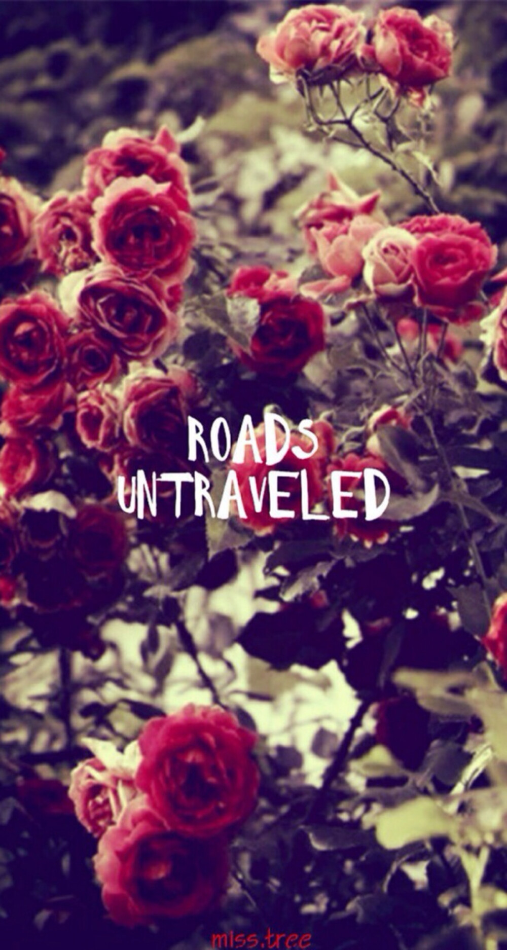 roads untraveled