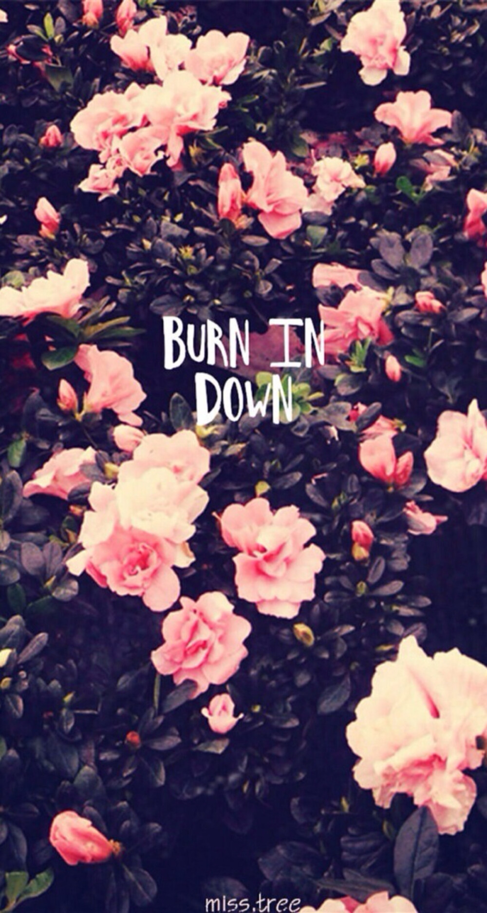 burn in down