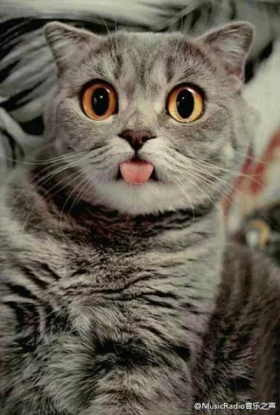 医生，我舌头被鱼刺扎了...你帮我看看...