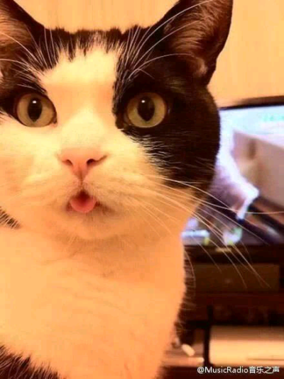 医生，我舌头被鱼刺扎了...你帮我看看...