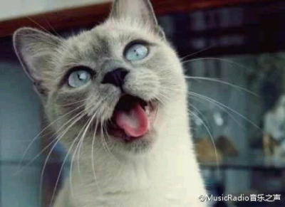 医生，我舌头被鱼刺扎了...你帮我看看...