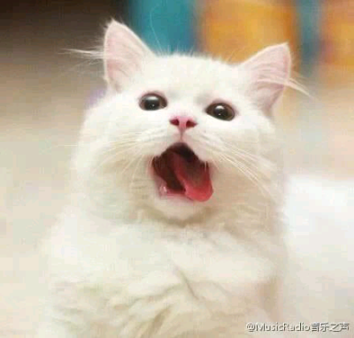 医生，我舌头被鱼刺扎了...你帮我看看...