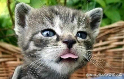 医生，我舌头被鱼刺扎了...你帮我看看...