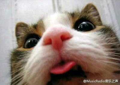 医生，我舌头被鱼刺扎了...你帮我看看...