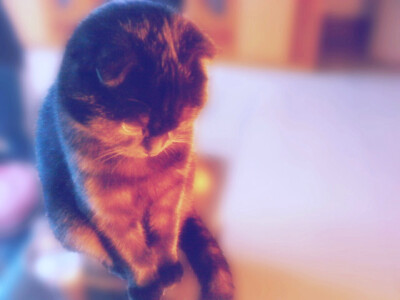 知错就改的乖宝贝