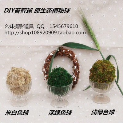 苔球，装饰 摄影道具 幺妹摄影道具 QQ：1545679610 http://shop108920909.taobao.com