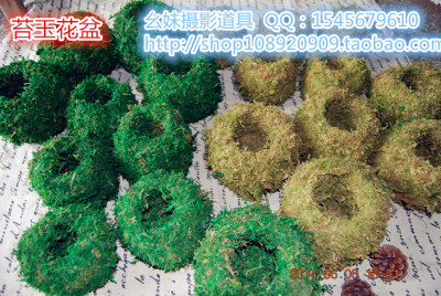 苔玉花盆幺妹摄影道具 QQ：1545679610 http://shop108920909.taobao.com