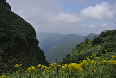 梵净山顶