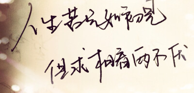 人生若只初相见