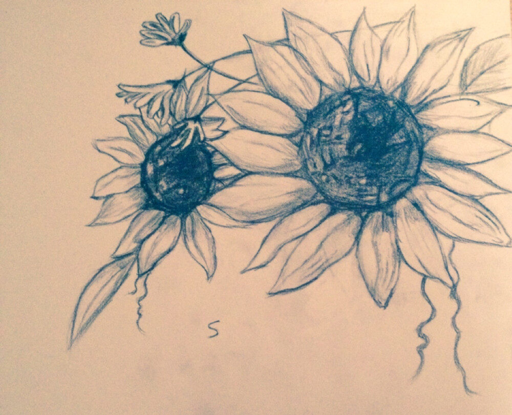  手绘向日葵