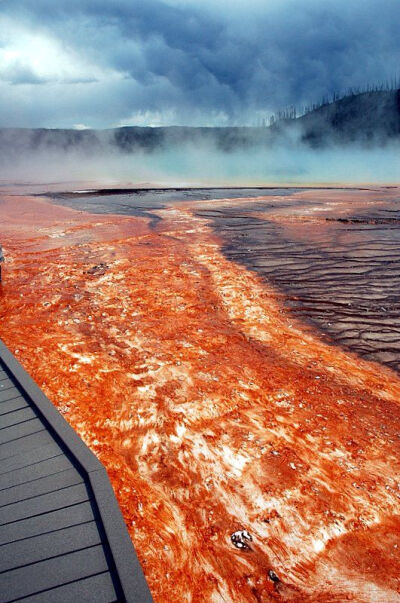 The Grand Prismatic Springs,Yellowstone National Park（Copyright: Can Balcioglu）美国黄石公园大棱镜温泉，又称大虹彩温泉。是美国最大，世界第三大的温泉。大稜镜温泉的美在于湖面的颜色随季节而改变，春季，…