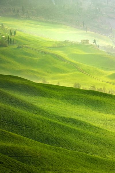 Tuscany, Italy。托斯卡纳在意大利中部的西海岸上，一直被视为文艺复兴的发源地和意大利最美的洲。苍翠的山谷、绵延的山脉、秀丽的葡萄园、摇曳的橄榄树……这明丽的风景牵动了包括达芬奇与拉斐尔等众多画家的笔。