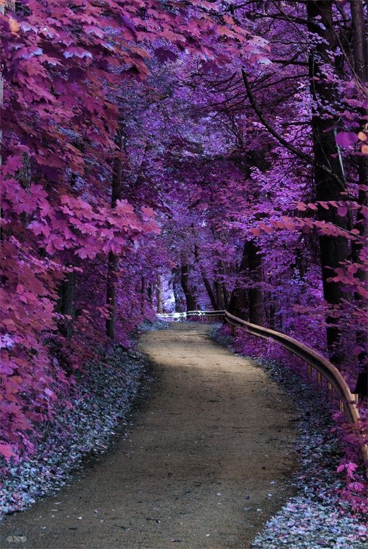 壁纸 iPhone壁纸 电脑壁纸 风景 家居 人物 平铺