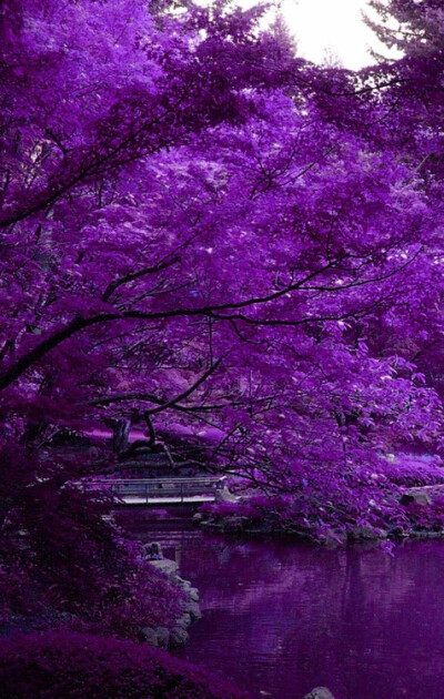 壁纸 iPhone壁纸 电脑壁纸 风景 家居 人物 平铺