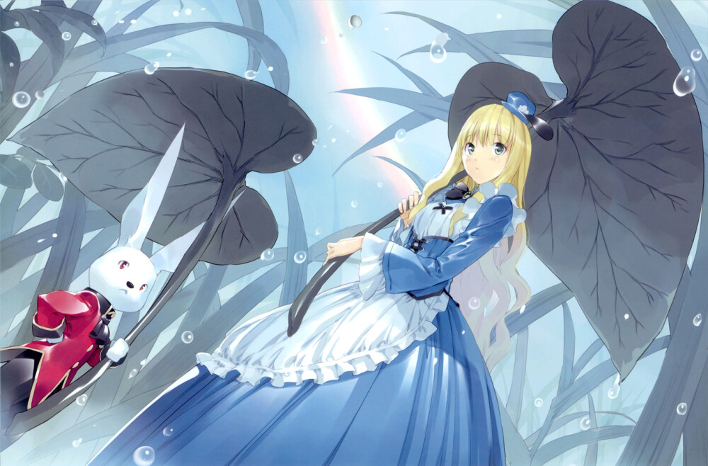 Alice and Rabbit