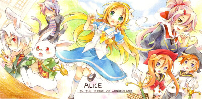 Alice in the school of wonderland