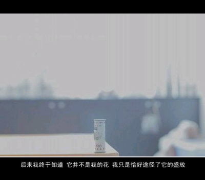 唯美文字配图壁纸