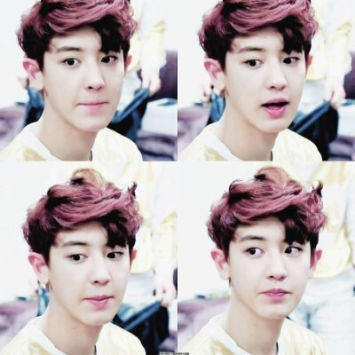 exo parkchanyeol 朴灿烈