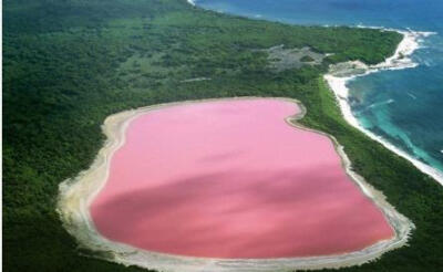 【西澳大利亚赫特泻湖】远远望去就像一大块粉色的泡泡糖。就算把水装在瓶子里，它还是保持粉红色。赫特泻湖（Hutt Lagoon）盐度很大，并呈现美丽的粉红色，这主要是因为湖中藻类产生了丰富的β-胡萝卜素。