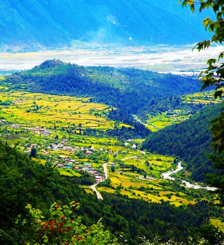 【康扎村】西 藏林芝康扎村，坐落在尼洋河畔，色季拉山脚下，川藏公路穿过其中。去林芝、去拉萨的必经之路。在色季拉山上远眺康扎村和尼洋河，景色尽收眼底，仿佛是在看一副美丽的画卷。