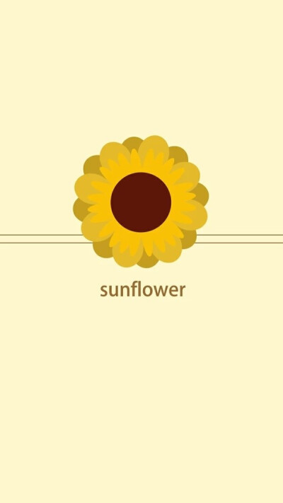 sunflower 向日葵