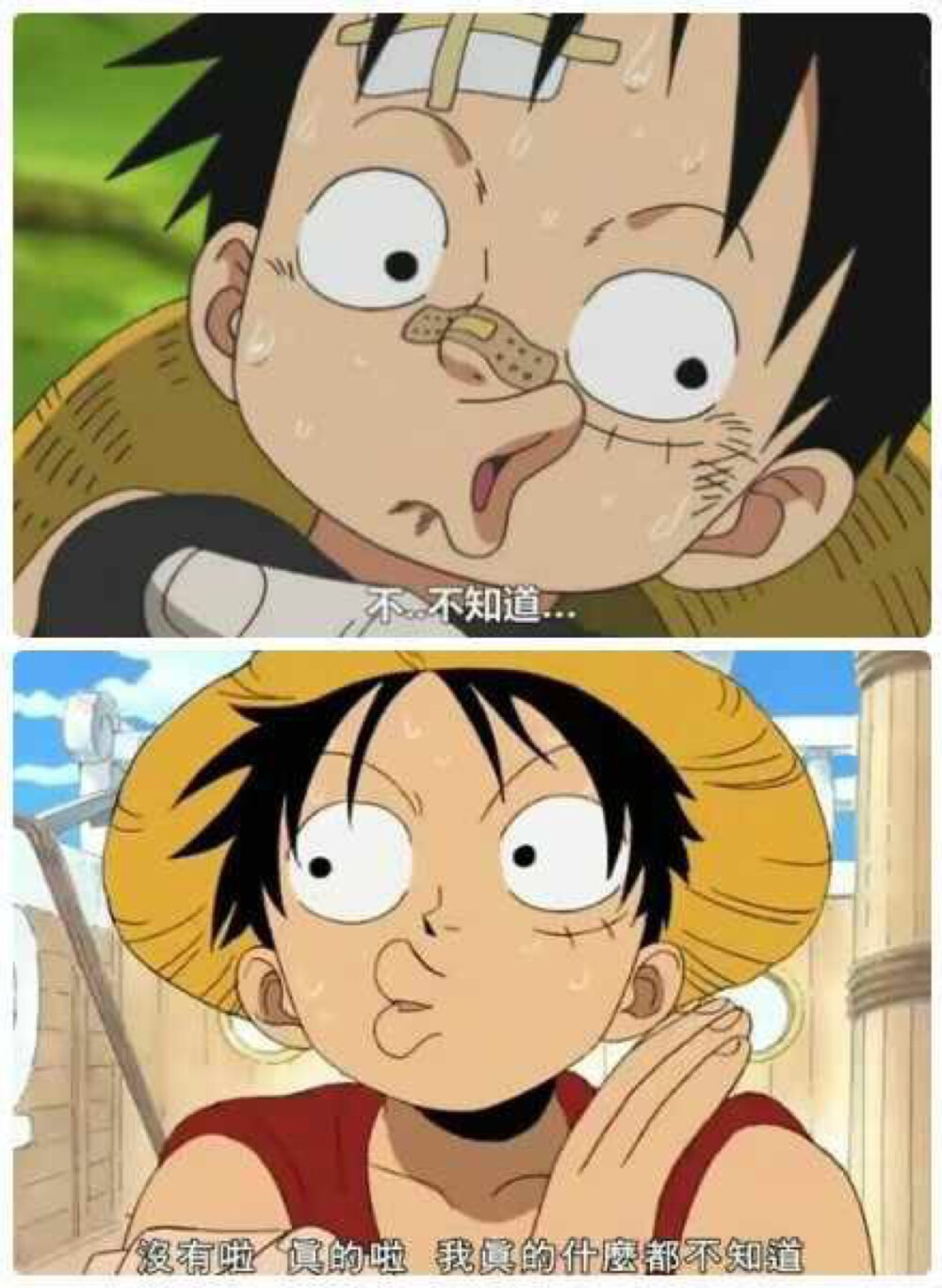 luffy