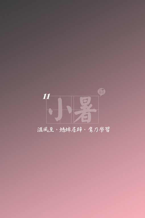 小青菀壁纸 节气系列