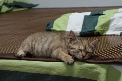 吃饱喝足，休息一下……