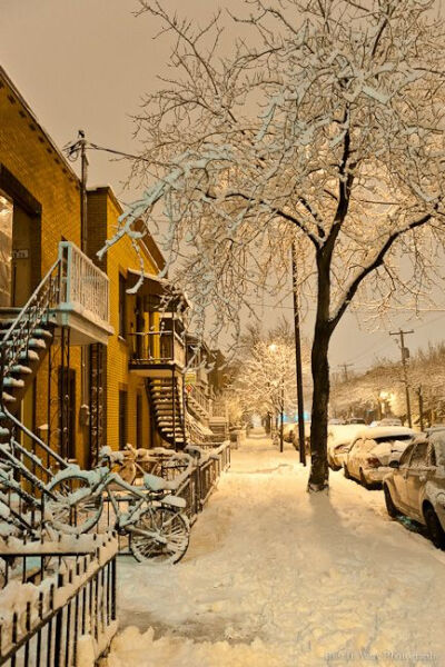 雪季里的蒙特利尔，加拿大。