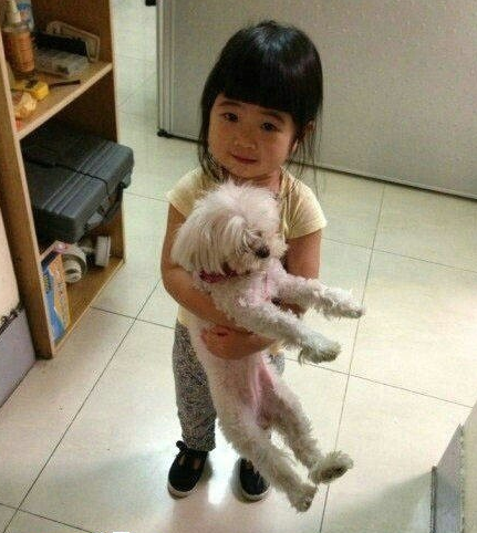 跟狗狗在一起！