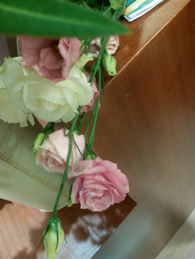 【2014.8.16】在ROSE.J买的一束，两朵白玫瑰加一束红桔梗。