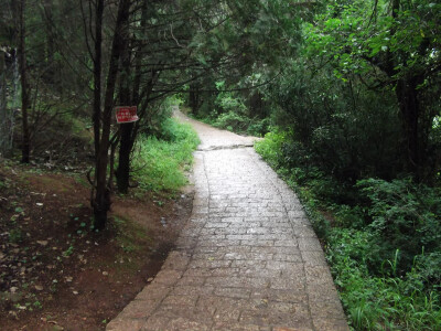 【在麗江，我路過人間】下過雨，路好滑...