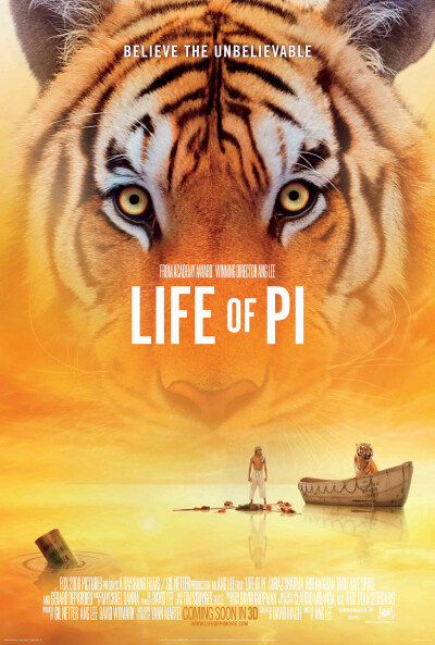 《少年Pi的奇幻漂流》 导演：李安 《阿凡达》和《pi》是我这些年来看的效果最好的3D