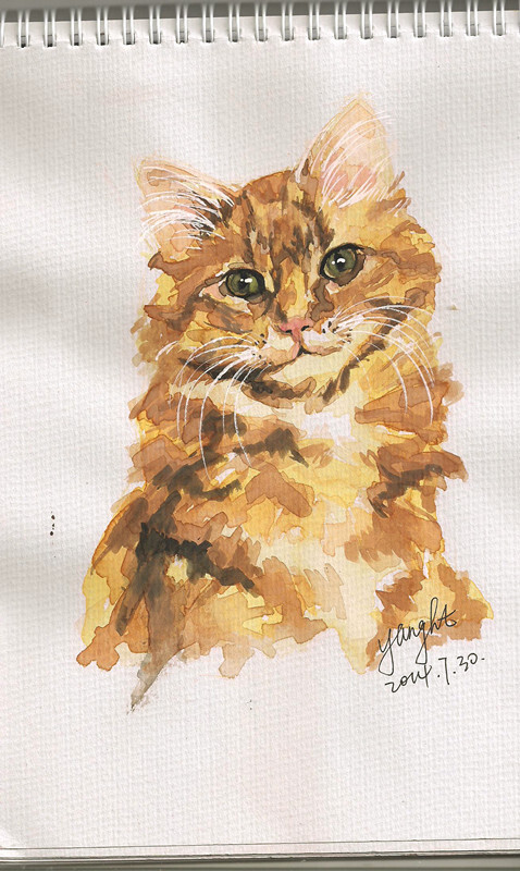 第一次画水彩画得不好