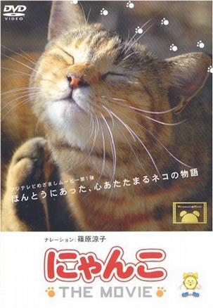 [灰]。猫咪物语 にゃんこ - 一个个小猫咪的故事 喜欢猫的人可以看看