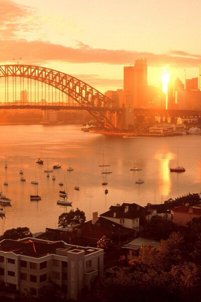 Sydney Harbour Bridge 悉尼海港大桥景色