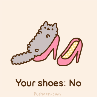 Your shoes: No