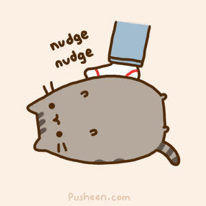 pusheen