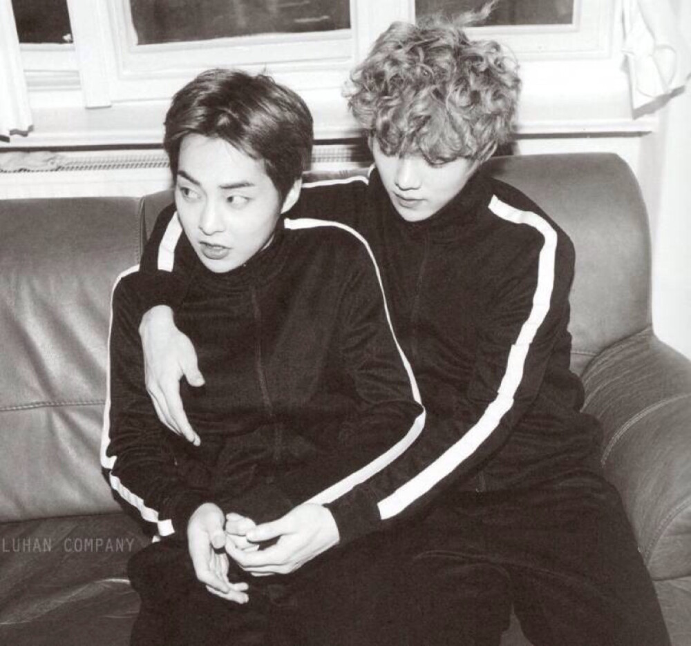 EXO 鹿晗 Luhan 金珉硕 Xiumin DIE JUNGS 写真扫图