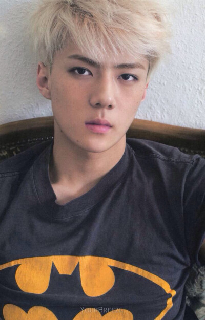 EXO 吴世勋 Sehun DIE JUNGS 写真扫图