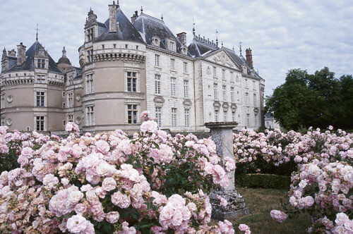 法国香波城堡（Chateau de Chambord），是弗朗索瓦一世的绝世佳作，代表了他对梦想的执着和对艺术及奢华的热爱，在建筑方面超过了凡尔赛宫(Versailles)：巨大的白色城堡精雕细刻，周身共有 365个壁炉。尖塔和钟楼直冲云霄，以示永恒。