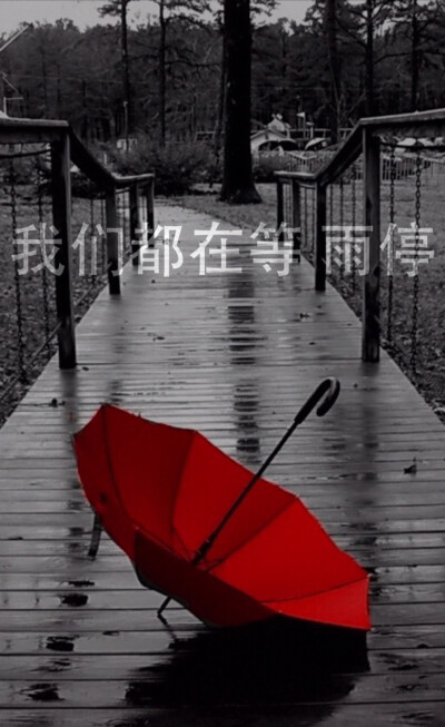 我们都在等雨停。