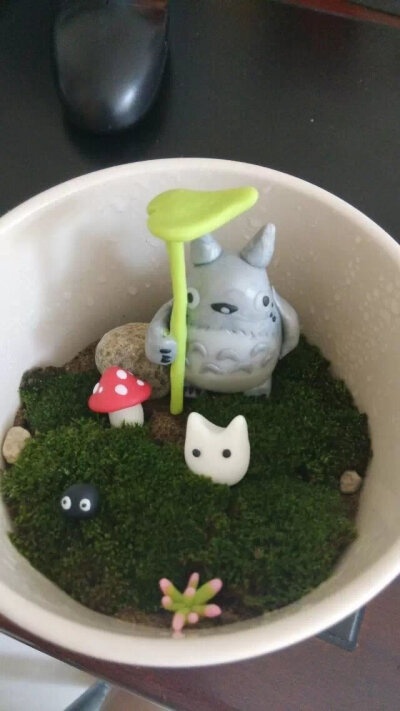 自己做的微景观，里面的玩偶都是我用软陶捏制的。哈哈，纯纯粹粹的DIY，除了盆是宜家买的，其他都是自己做的。连苔藓都是从家这边的墙角挖的，石头也是自己捡的。。哈哈